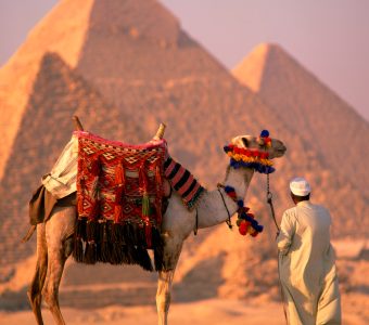 Camel with woven saddle cloth being led towards pyramids by man in white robe in the evening, at Giza, UNESCO World Heritage Site, Egypt, North Africa, Africa Camel with woven saddle cloth being led towards pyramids by man in white robe in the evening, at Giza, UNESCO World Heritage Site, Egypt, North Africa, Africa